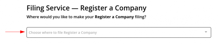 A drop-down option from an A Registered Agent Inc. online account with a red arrow pointing to a box where users can select a state to register their business in.